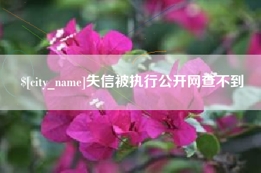 孝义失信被执行公开网查不到