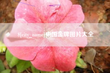 孝义中国金牌图片大全