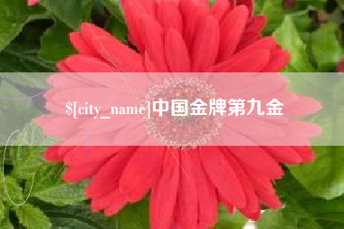 孝义中国金牌第九金