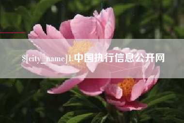 孝义1.中国执行信息公开网