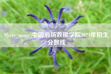 孝义中国消防救援学院2024年招生分数线