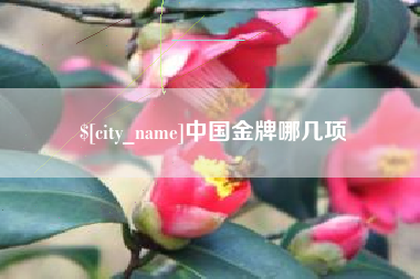 孝义中国金牌哪几项