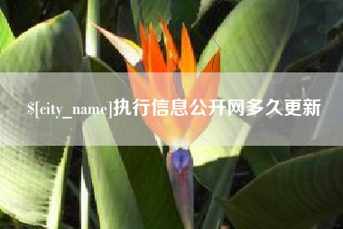 孝义执行信息公开网多久更新
