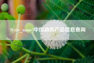 孝义中国消防产品信息查询