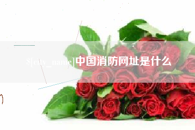 孝义中国消防网址是什么