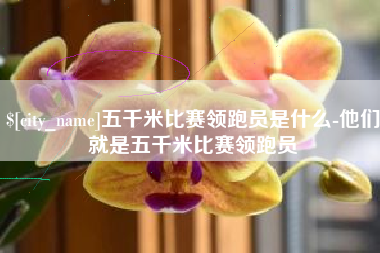 孝义五千米比赛领跑员是什么-他们就是五千米比赛领跑员