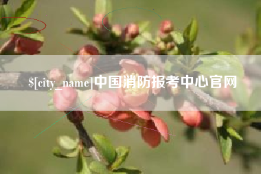孝义中国消防报考中心官网
