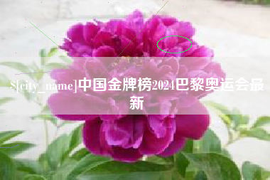 孝义中国金牌榜2024巴黎奥运会最新