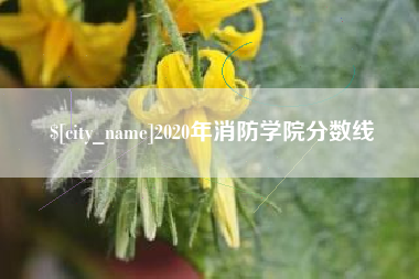 孝义2020年消防学院分数线