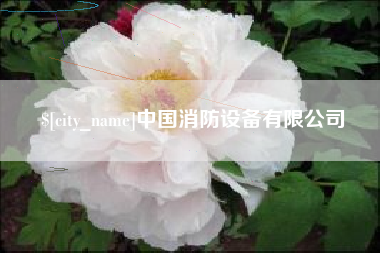 孝义中国消防设备有限公司