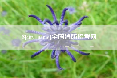 孝义全国消防招考网