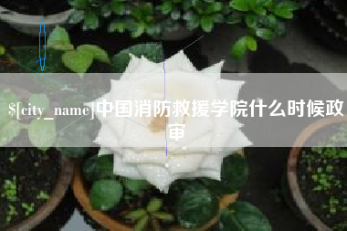 孝义中国消防救援学院什么时候政审
