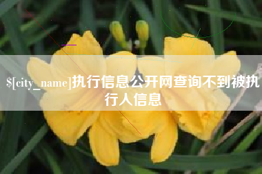 孝义执行信息公开网查询不到被执行人信息