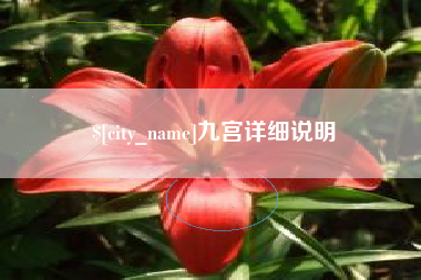 孝义九宫详细说明