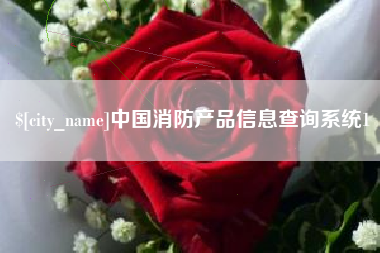 孝义中国消防产品信息查询系统1