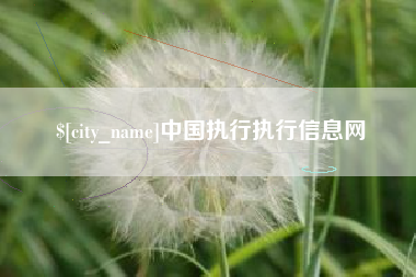 孝义中国执行执行信息网