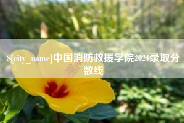 孝义中国消防救援学院2021录取分数线