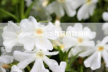 孝义579九宫格如何排