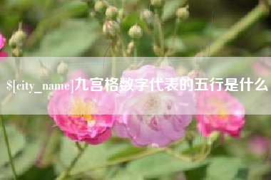孝义九宫格数字代表的五行是什么