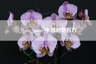 孝义中国消防官方