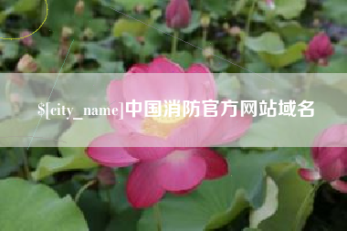 孝义中国消防官方网站域名
