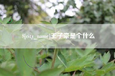 孝义王子豪是个什么