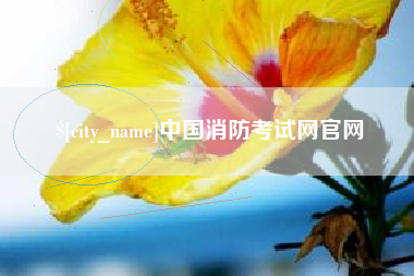 孝义中国消防考试网官网