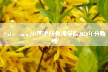 孝义中国消防救援学院2020年分数线