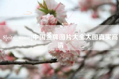 孝义中国金牌图片大全大图真实高清