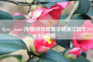 孝义中国消防救援学院浙江招生2020分数线