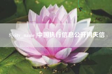 孝义中国执行信息公开网失信
