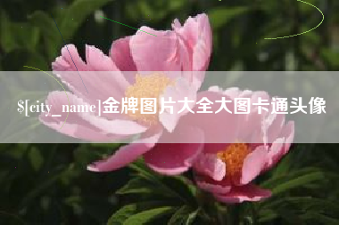 孝义金牌图片大全大图卡通头像