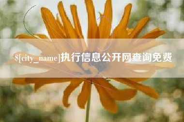 孝义执行信息公开网查询免费