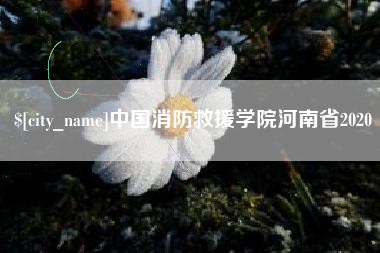 孝义中国消防救援学院河南省2020